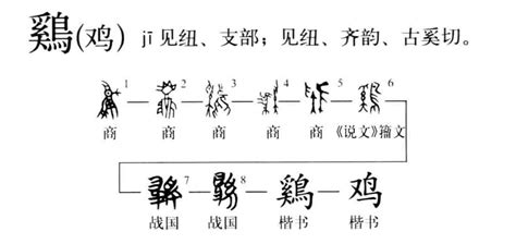 雞 字|鸡（汉语汉字）